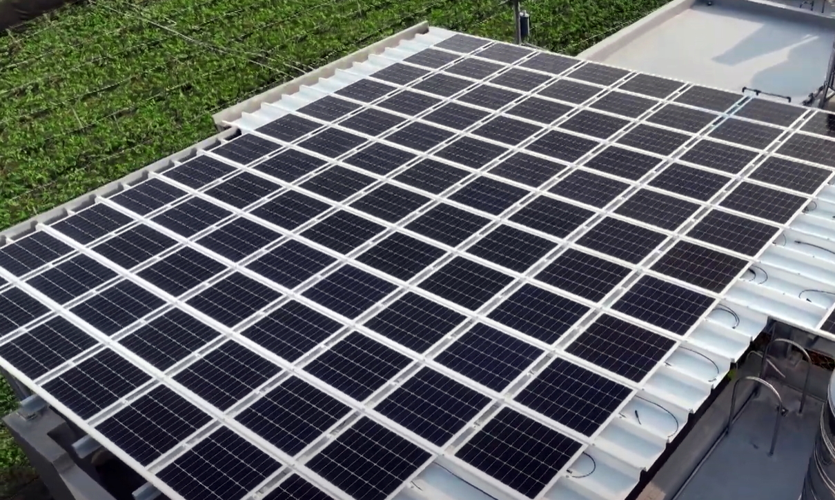 JNTY江南SunSteel光电浪板升级双玻结构，以提升机械负载强度及气候耐候度，可广泛运用于多元场域