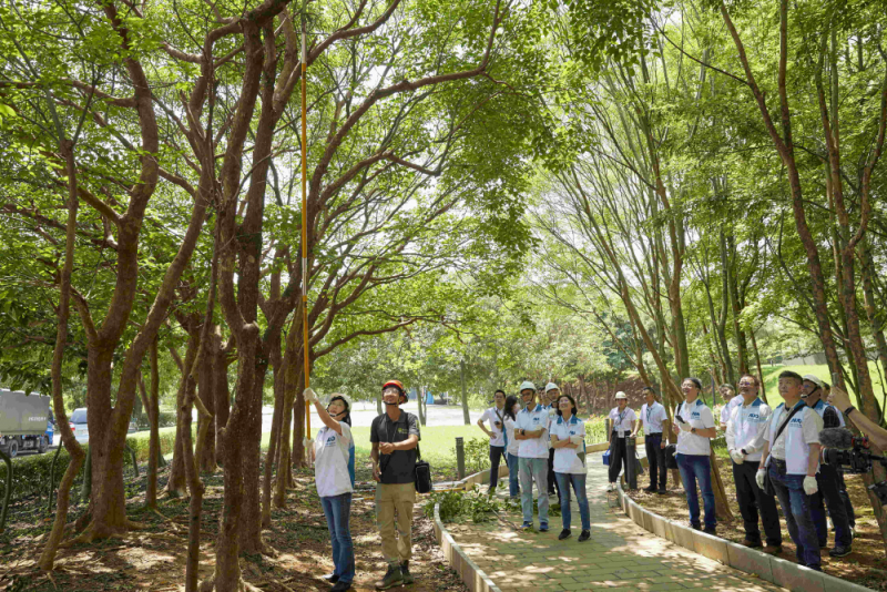 藝師教導大家認識樹木、檢查樹的健康狀況，學習修枝及碎枝覆土